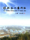 扶风文化艺术志           2009年版             PDF电子版下载