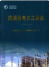 庆城县电力工业志 1950-2007            2006年版             PDF电子版下载