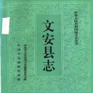 河北省文安县志 1994版.pdf电子版下载